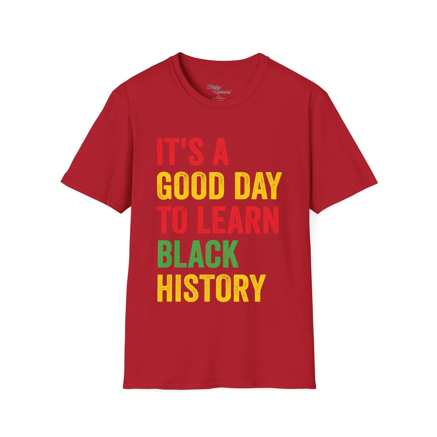 Learn History Juneteenth Unisex Softstyle T-Shirt